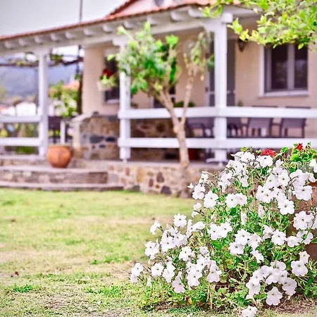 Nina Holidays Apartament *