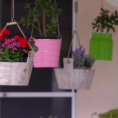 Lägenhet Nina Holidays Sykia Chalkidikis