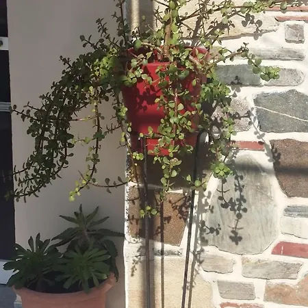 Lägenhet Nina Holidays Sykia Chalkidikis