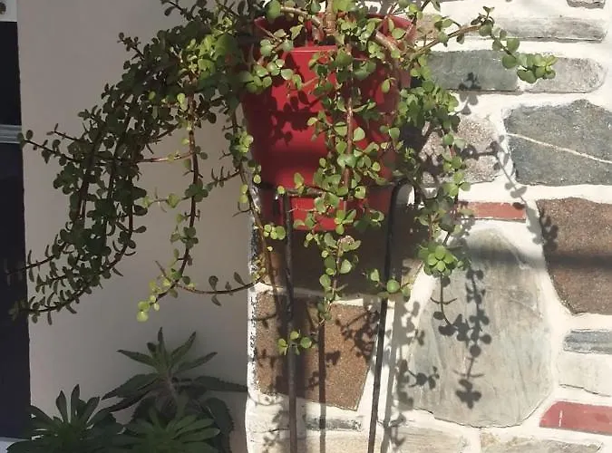 Apartamento Nina Holidays Sykia Chalkidikis